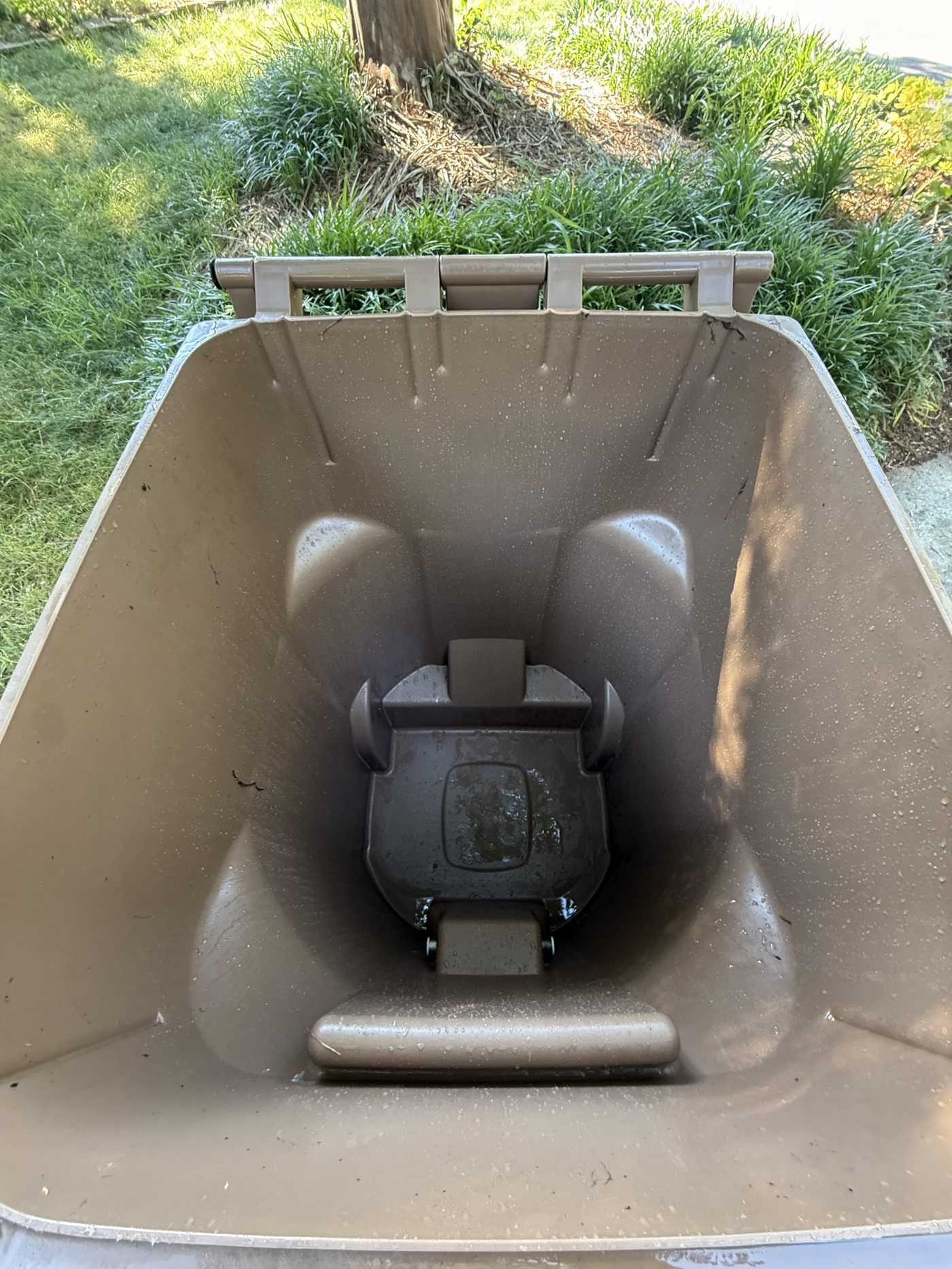 Trash can after cleaning